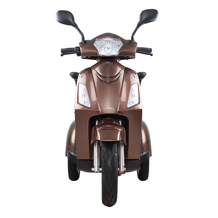 Fahrzeugansicht Elektromobil E-Trike - Modell Lolland